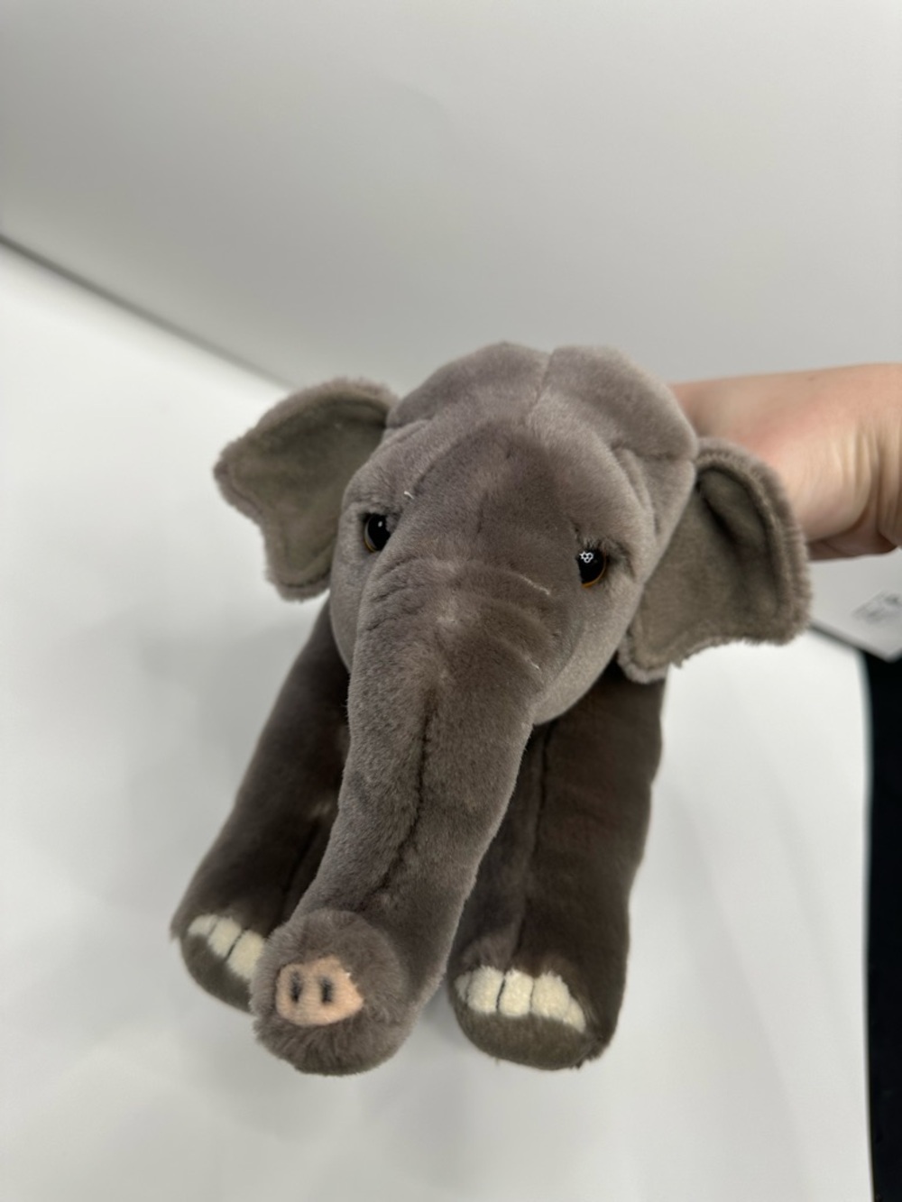 Webkinz Signtaure Endangered Asian Elephant - Picture 2 of 7